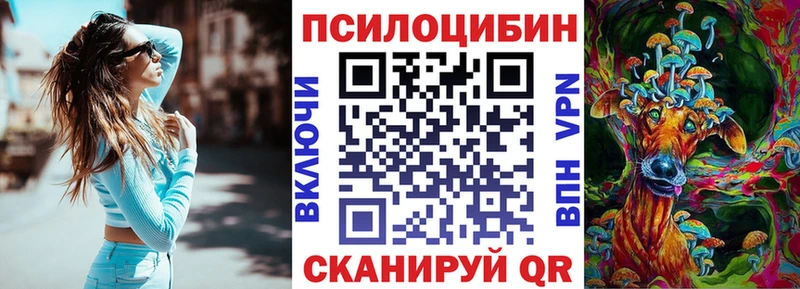 Купить где  Мосальск  Псилоцибиновые грибы мицелий 